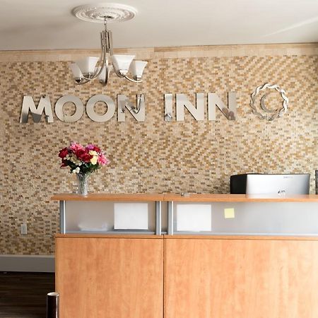 Moon Inn Hotel Alexandria Exteriör bild